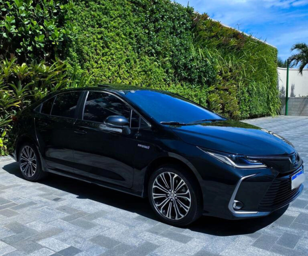 Design sem nome - 2025-05-27T145504.728